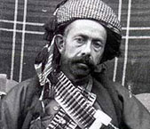 شێخ مەحمودی نەمر